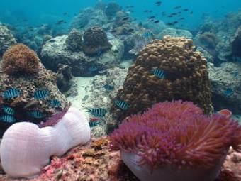 Hotel Sara Boutique Resort