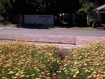 Bed & Breakfast Die Herberg Luxury Accommodation