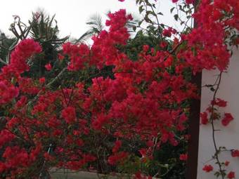 Hotel Rainbow Lagoon Villa