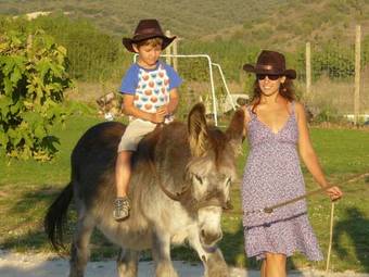 Hotel Rural Bioclim�tico Sabinares Del Arlanza