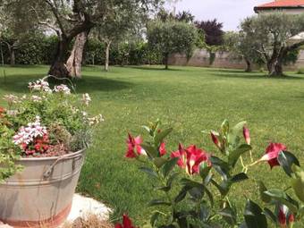 Bed & Breakfast Al Chiaro Di Luna