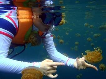 Viviendas Turisticas Club Tara Island Resort