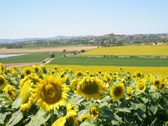 Hostal Agriturismo San Francesco