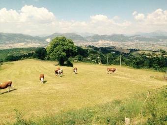 Agroturismo Faro Rosso