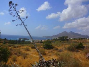 Agroturismo La Posada De Carmen