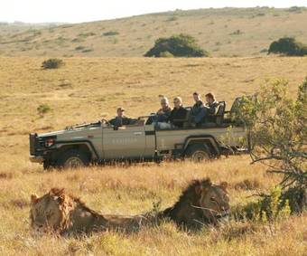 Lodge Lalibela Game Reserve Mark's Camp
