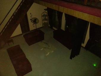 Bed & Breakfast Eden Lodge