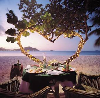 Hotel The Palm Island Resort