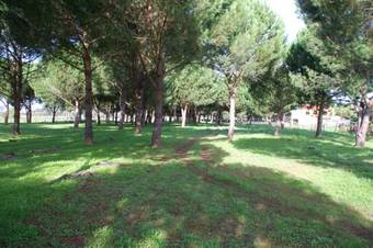 Hostal Quinta A Reforma