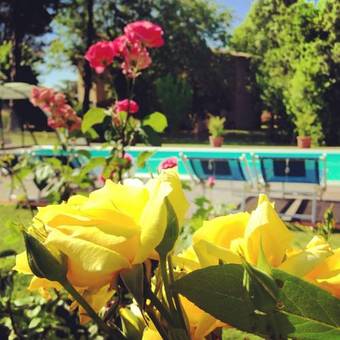 Bed & Breakfast Locanda Pantanello