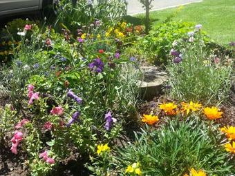 Majestic Bed And Breakfast