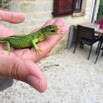 Apartamento Villa Numoviv