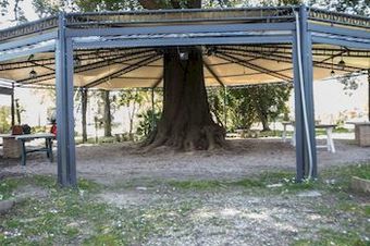 Hostal Agriturismo Villa San Gio