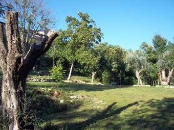 Apartamento B&B Noce Spagnola