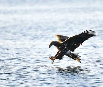 Apartamento Ringstad Sj�hus