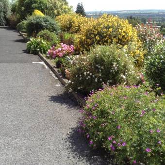 Bed & Breakfast Hollymount House