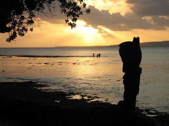 Hotel Paradise Cove Resort