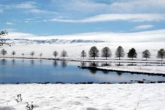Sani Valley Nature Lodges