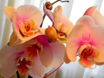 B&B Le Strade Del Po