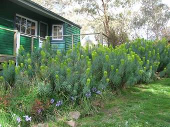 Agroturismo Kinross Metcalfe Farm