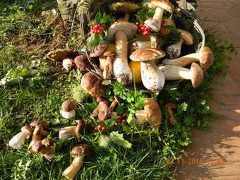 Agroturismo Casa De Sixto