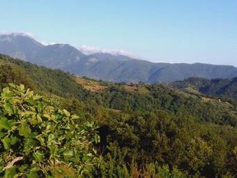 Agroturismo Poggio San Nicola Residenza Rurale