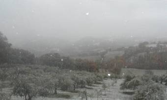 Agroturismo Il Gelso Assisi