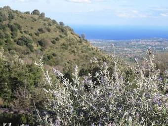 Agroturismo Casa Etnea