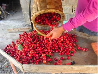 Apartamento Casa Jard�n De La Plata