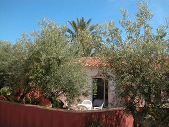 Hotel Apartamentos Oasis De Las Palmeras