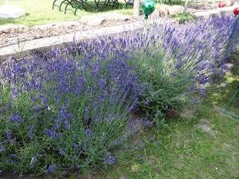 Hostal Landgasthof J�gerst�bchen