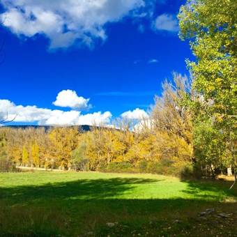 Aparthotel Apart-hotel Selva Nevada