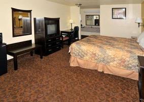 Motel Econo Lodge Inn And Suites Searcy