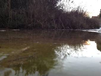 Agroturismo Casa Rural La Bodega