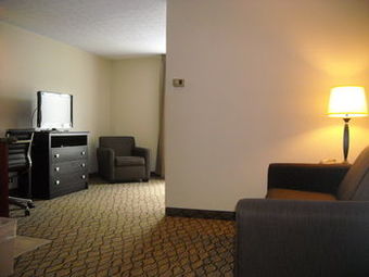 Holiday Inn Express Hotel & Suites Cadillac