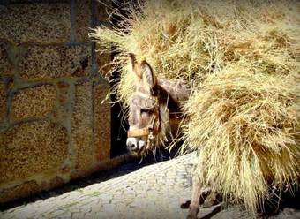 Agroturismo Casas Do Cruzeiro
