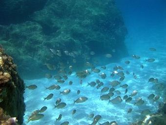 Aparthotel Hotel Residence Sciabache