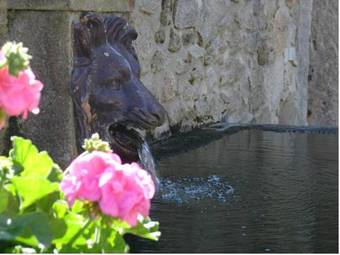 Agroturismo Casa D' Joao Enes - Afife Residence