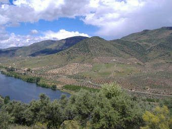 Agroturismo Terra D'alva