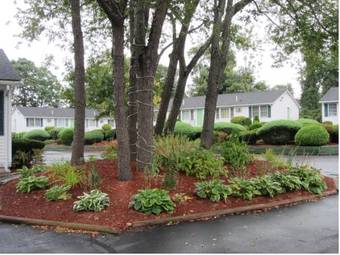 Founder's Brook Motel And Suites