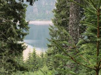 Bed & Breakfast Bois Joli De La Frey�re