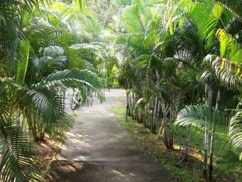 Hotel Wilai Villa Lamai