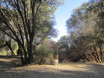 Bed & Breakfast Apple Blossom Inn Yosemite