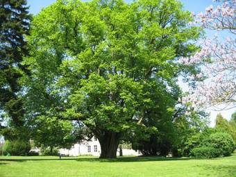 Gite De L'abbaye D'etrun