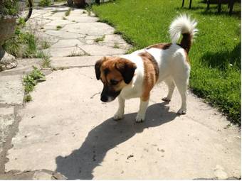 Apartamento Villa Verdi