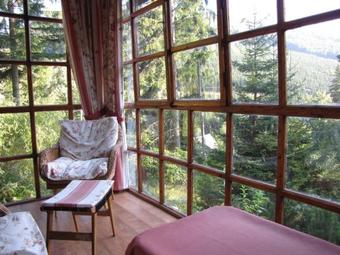 Family Paradise Kouty