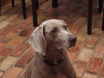 Apartamento Gutshof Warthe