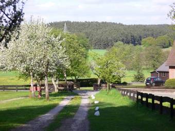 Hostal Waldhaus G�hrde