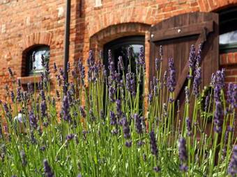 Raminorca Hotel-pension