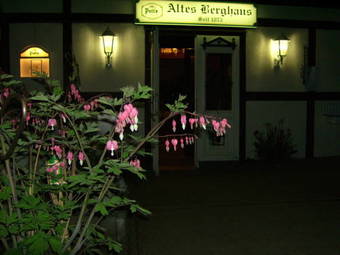 Hostal Altes Berghaus